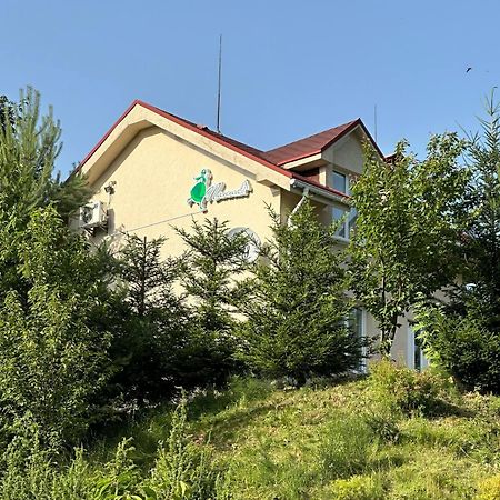 Mini-Hotel Panna Solotschyn Exterior foto